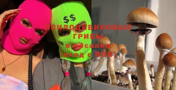винт Алексеевка